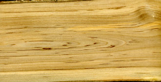 Характеристика древесины рябины